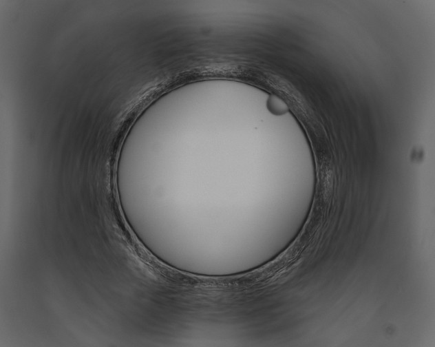 X0000091670729200708231013