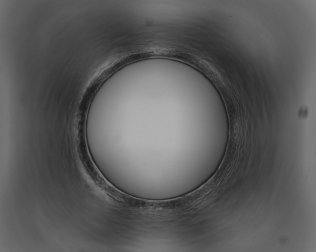 X0000091670730200708231013