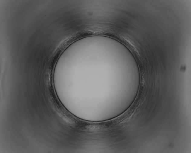 X0000091670733200708231013