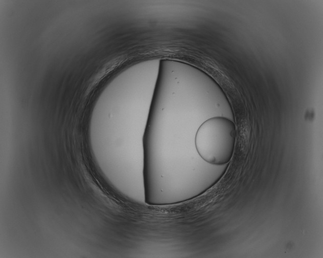 X0000091670734200708231013