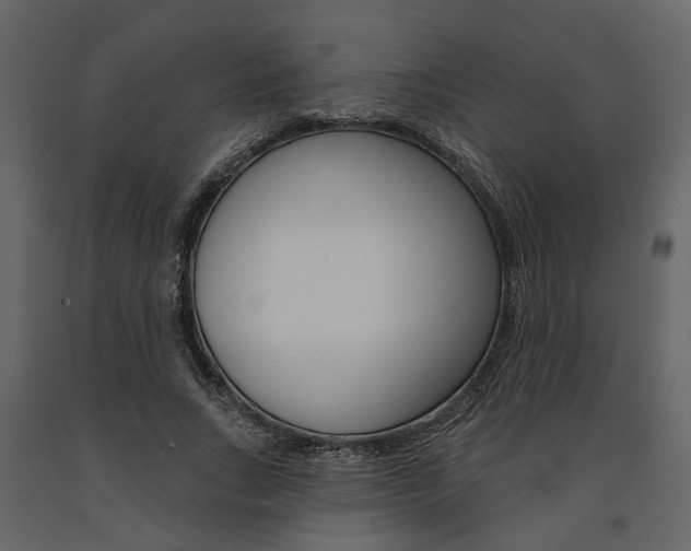 X0000091670735200708231013