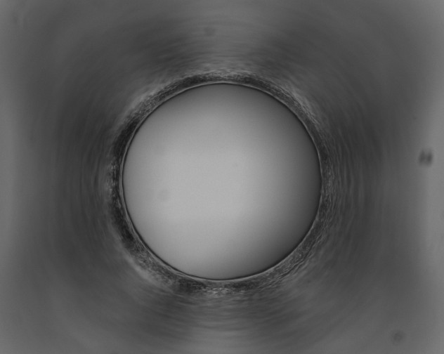 X0000091670736200708231013