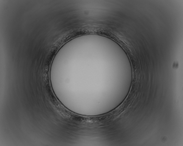 X0000091670737200708231013