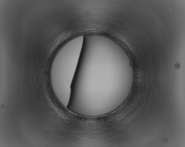 X0000091670738200708231013