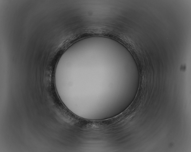 X0000091670739200708231013