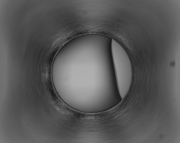 X0000091670740200708231013