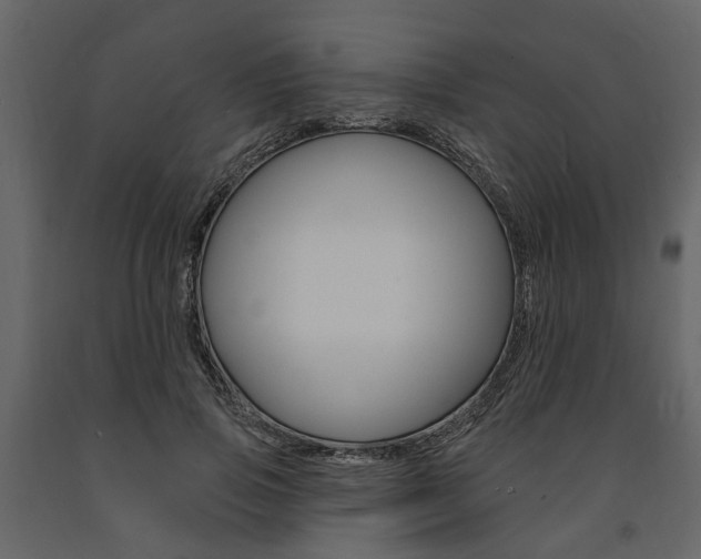 X0000091670741200708231013