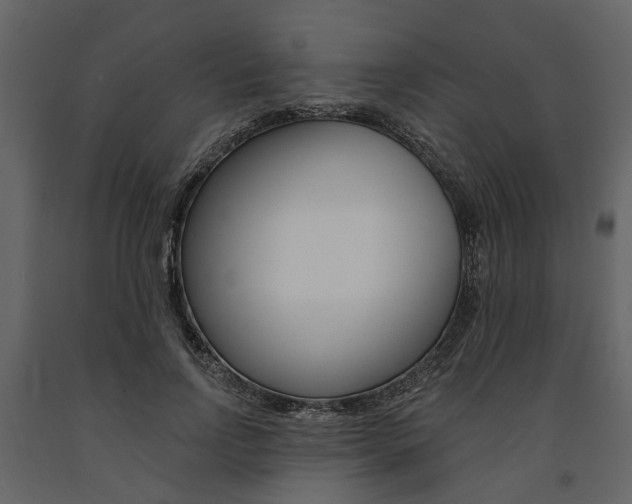 X0000091670742200708231013