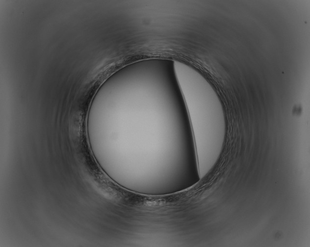 X0000091670744200708231013