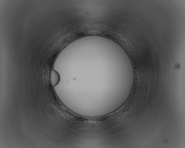 X0000091670745200708231013