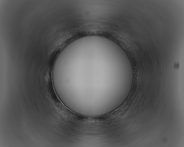 X0000091670746200708231013