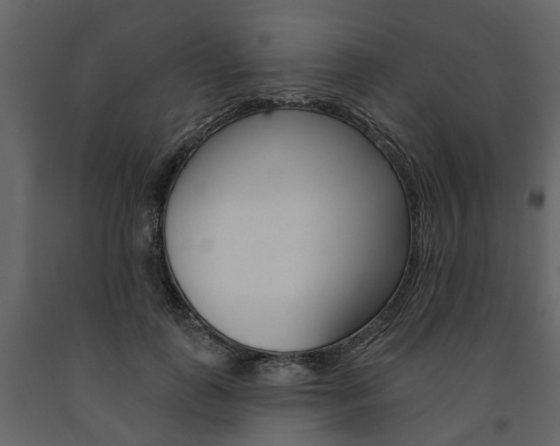 X0000091670747200708231013