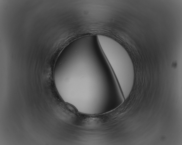 X0000091670748200708231013