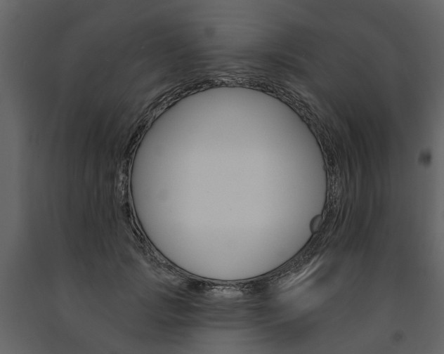X0000091670749200708231013