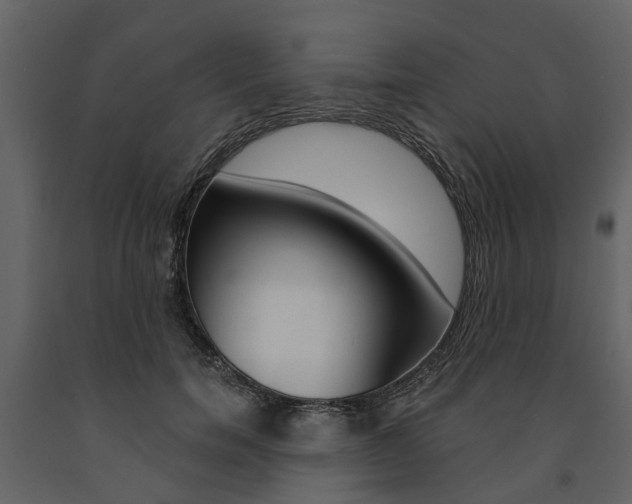 X0000091670750200708231013