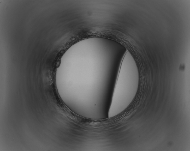 X0000091670751200708231013