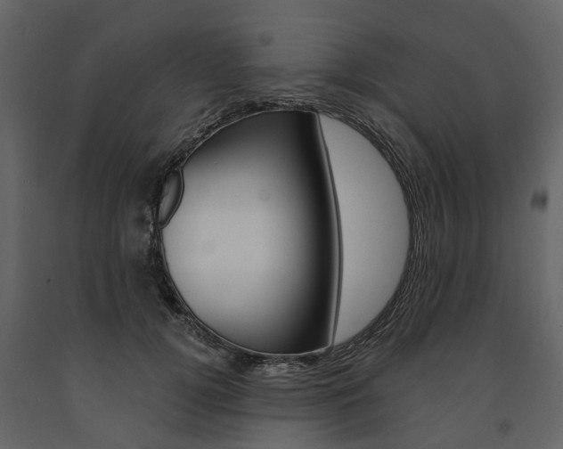 X0000091670752200708231013