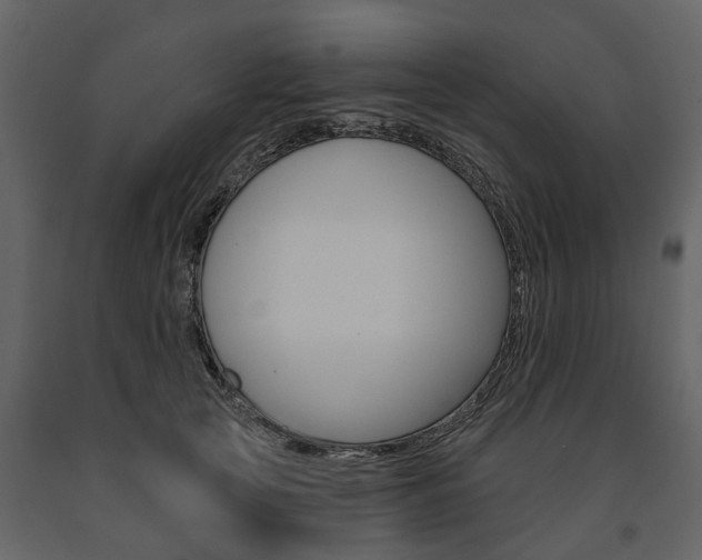 X0000091670753200708231013