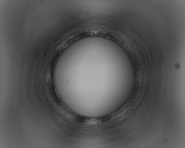 X0000091670754200708231013