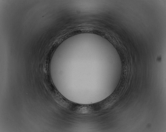 X0000091670755200708231013