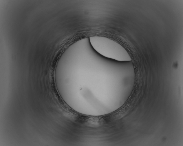 X0000091670757200708231013