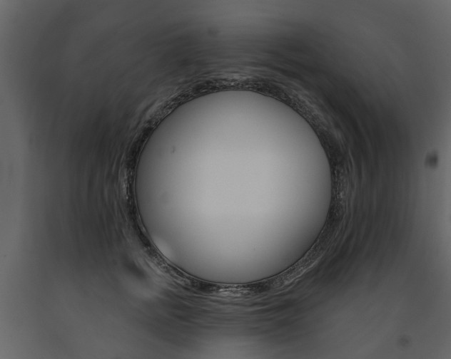 X0000091670758200708231013