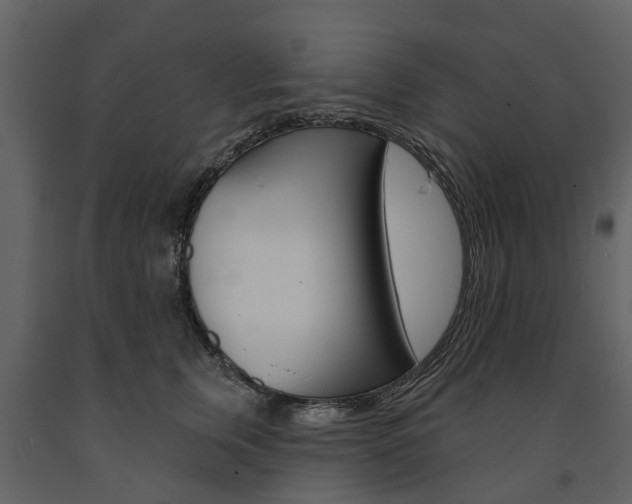X0000091670759200708231013