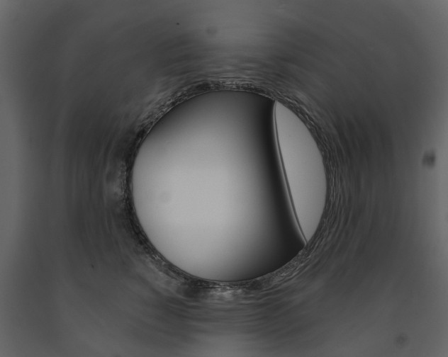 X0000091670760200708231013