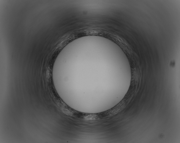 X0000091670761200708231013