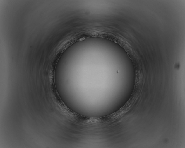 X0000091670762200708231013