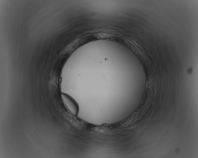 X0000091670763200708231013