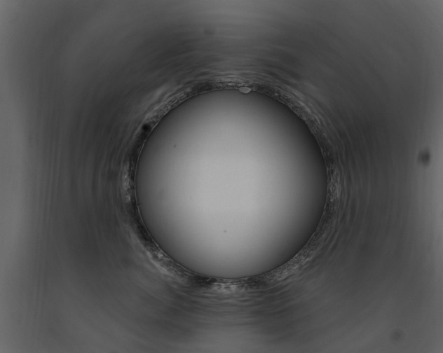 X0000091670764200708231013