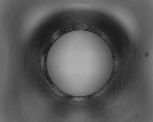 X0000091670765200708231013