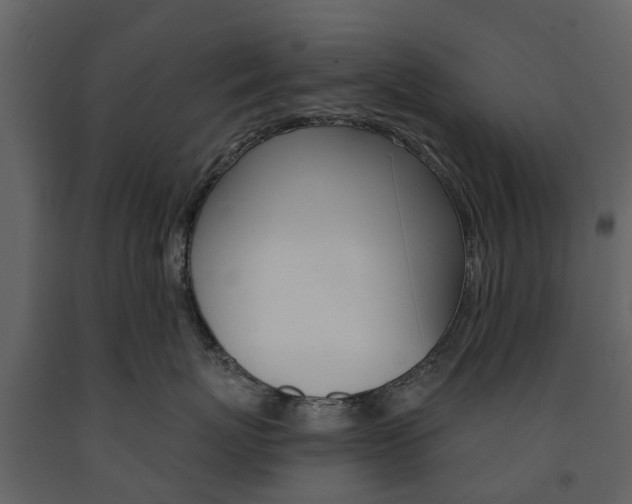 X0000091670767200708231013