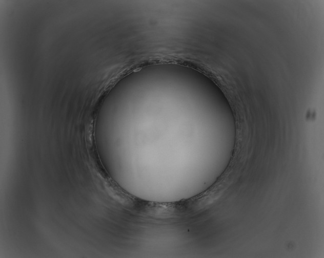 X0000091670768200708231013