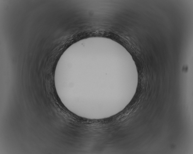 X0000091670769200708231012