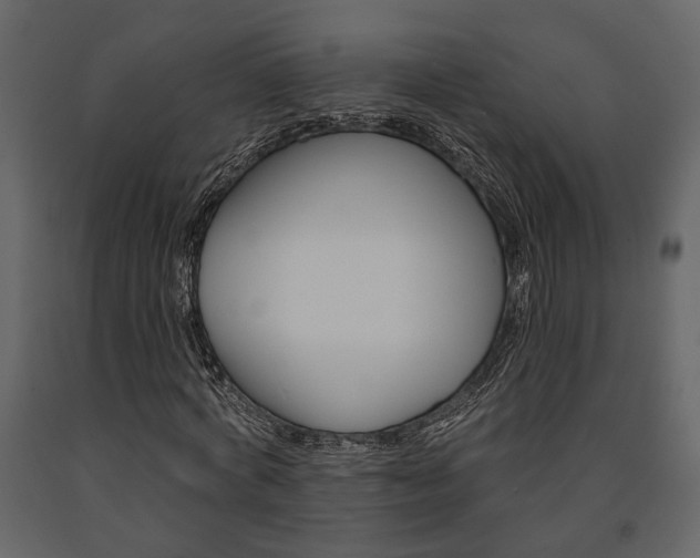 X0000091670772200708231012