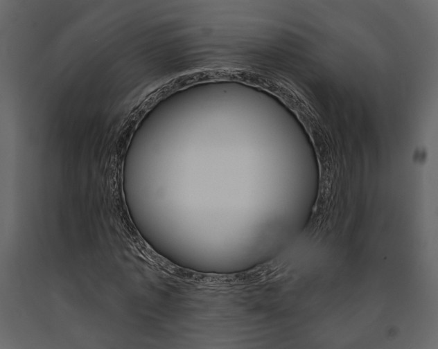 X0000091670773200708231012