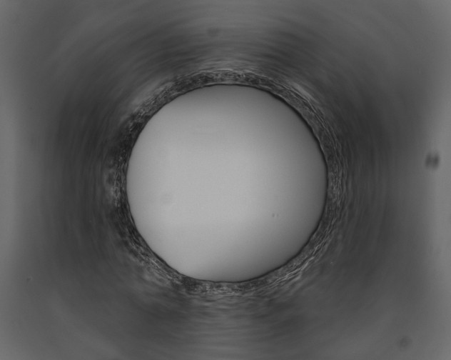 X0000091670774200708231012