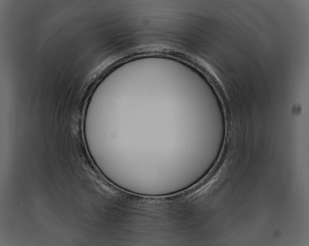 X0000091670778200708231012