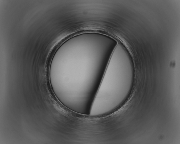 X0000091670779200708231012