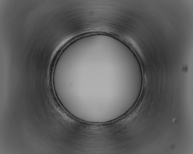 X0000091670780200708231012