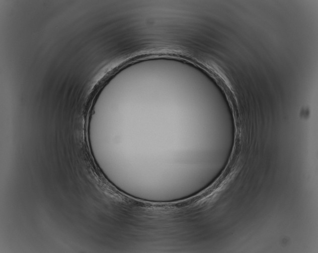 X0000091670781200708231012