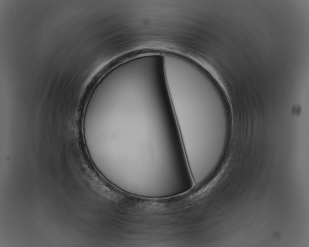 X0000091670783200708231012
