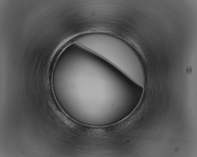 X0000091670784200708231012