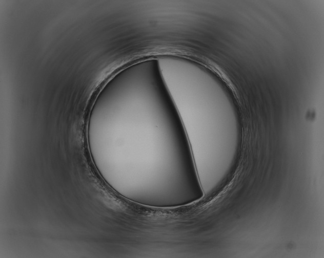 X0000091670786200708231012