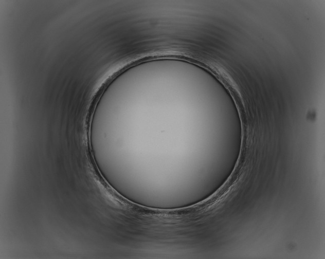 X0000091670789200708231012
