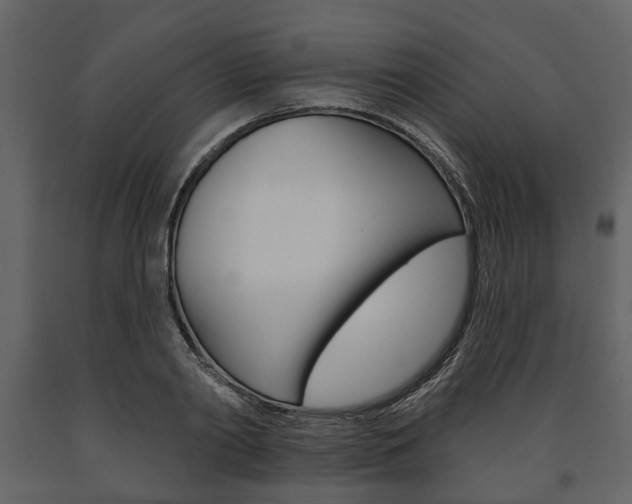 X0000091670790200708231012