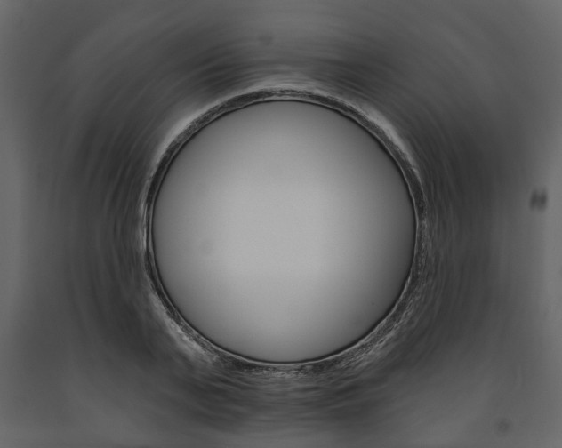 X0000091670791200708231012