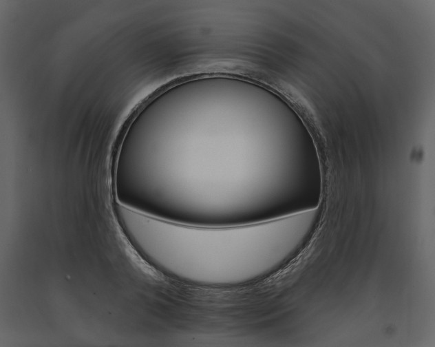 X0000091670792200708231012